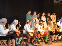 Festival de Folkore en Mula